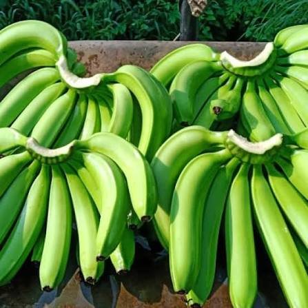 Fresh Banana