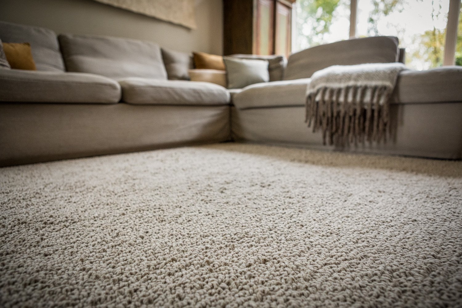 Wool Carpets