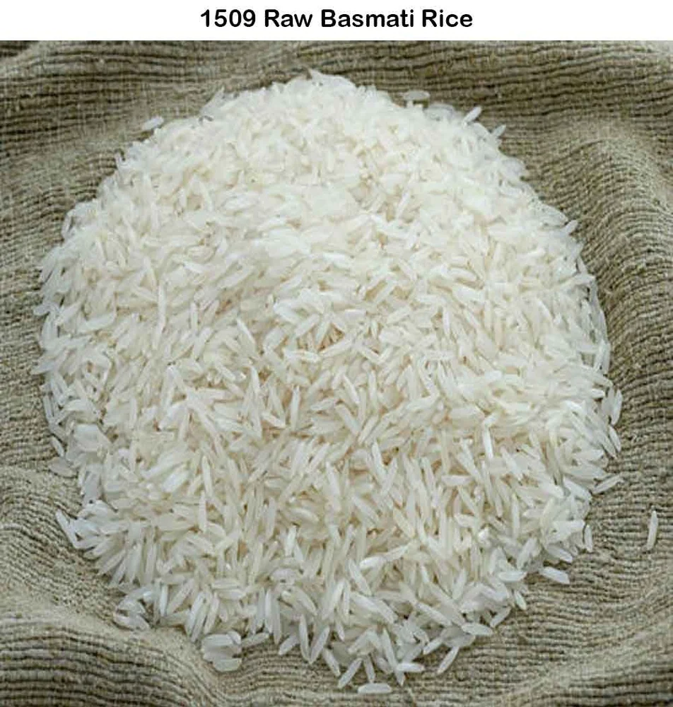 1509 Basmati Rice