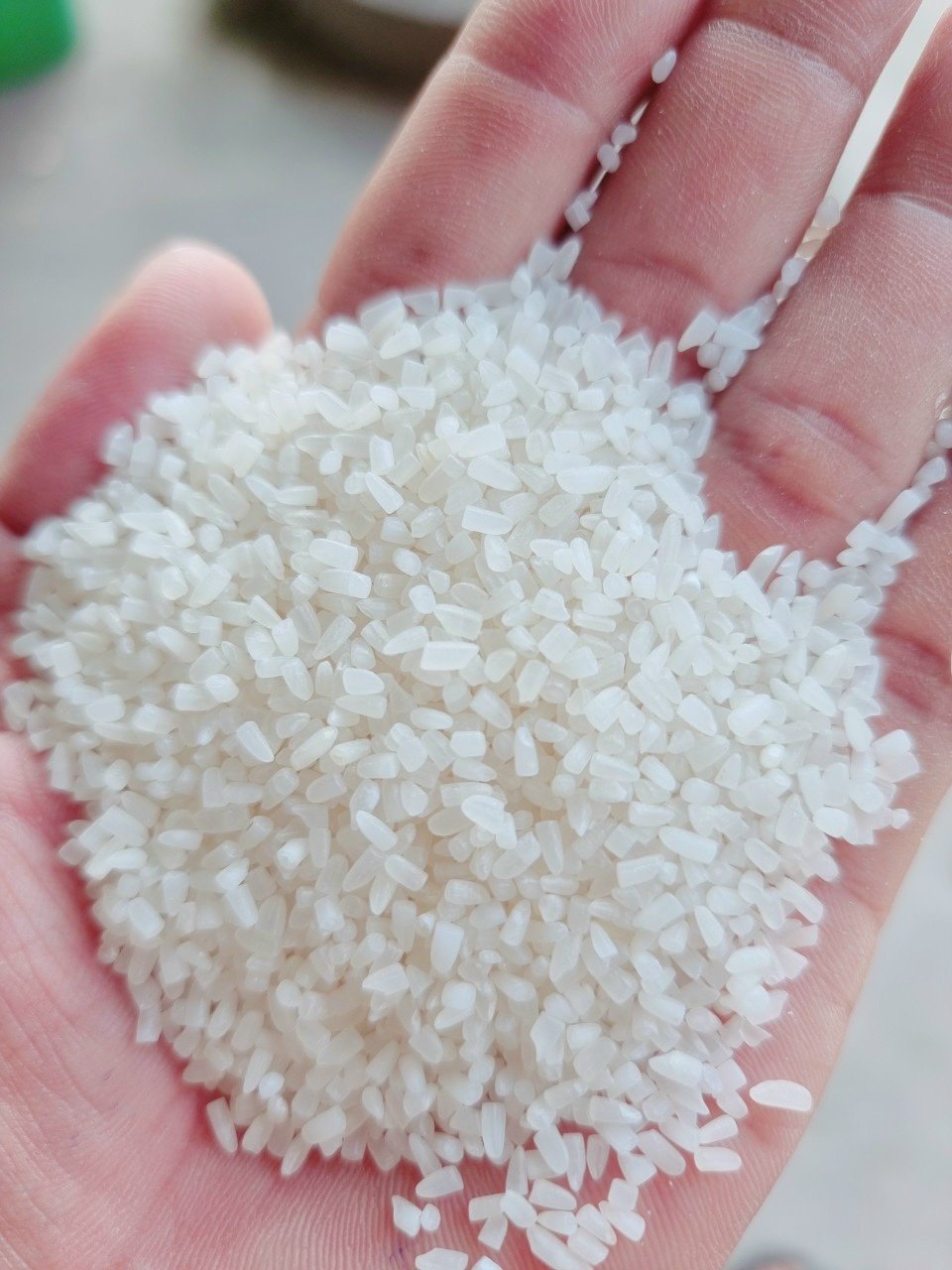 Broken Rice
